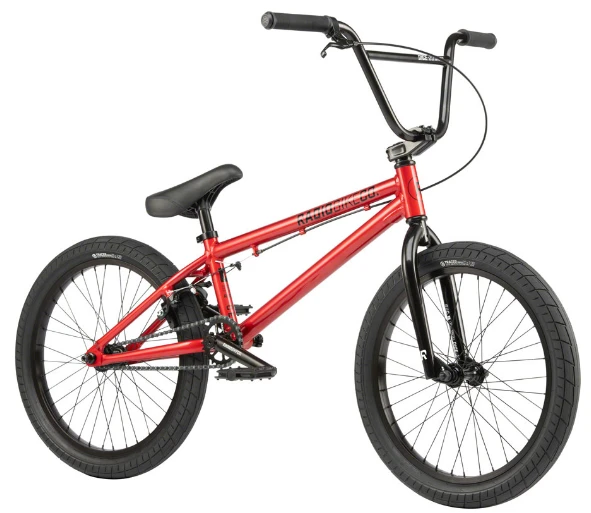 Radio Dice Bike 2022 4 Radio Dice Bike 2022 - Image 2