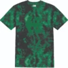 Etnies Icon Wash T-Shirt -Cycle Gear Hub etnies.icon .wash .t.shirt .black .green